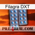 Filagra DXT viagra4